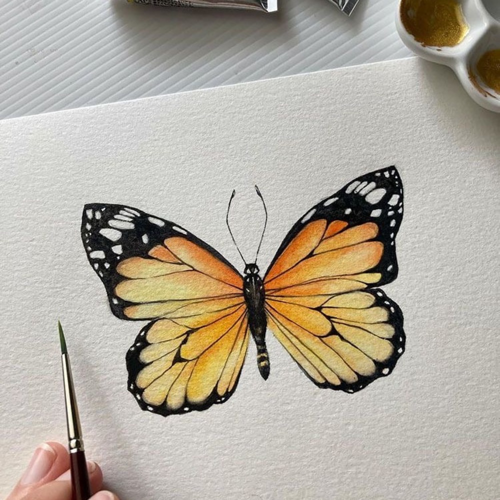 Meet your Posher, Ash